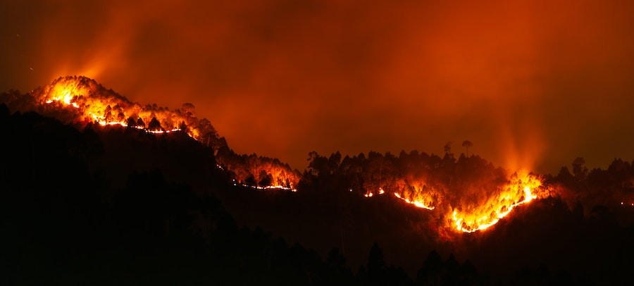 It's Wildfire Season – Are Your Power Outage Solutions Ready?